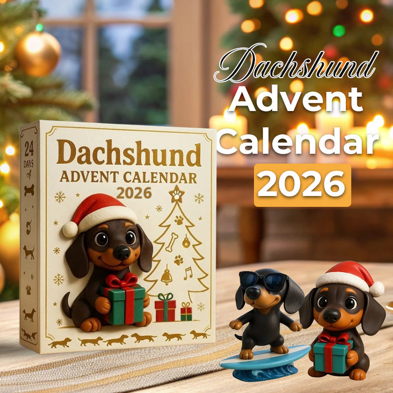 🐾 Dackel-Adventskalender 2026