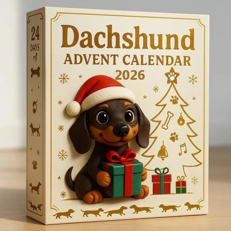 🐾 Dackel-Adventskalender 2026