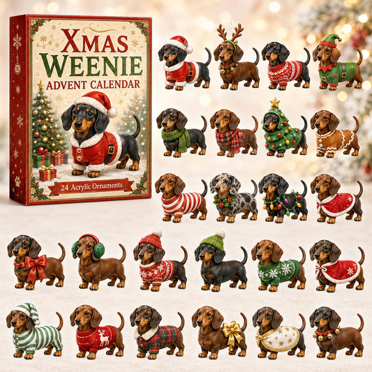 🎄 Weihnachts-Adventskalender mit Dackeln 2026